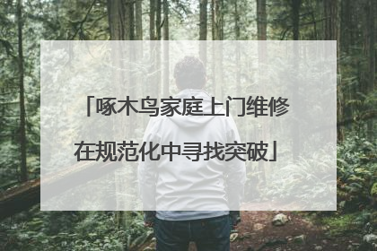啄木鸟家庭上门维修在规范化中寻找突破
