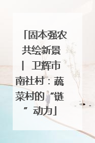 固本强农 共绘新景 ︳卫辉市南社村：蔬菜村的“链”动力