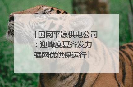 国网平凉供电公司：迎峰度夏齐发力 强网优供保运行