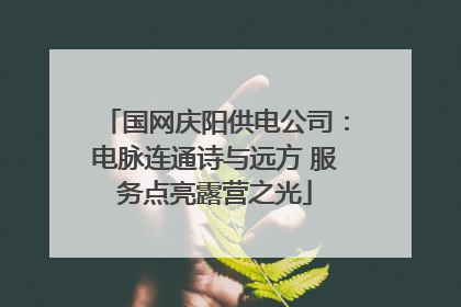 国网庆阳供电公司：电脉连通诗与远方 服务点亮露营之光