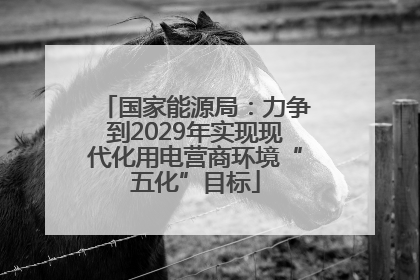 国家能源局：力争到2029年实现现代化用电营商环境“五化”目标