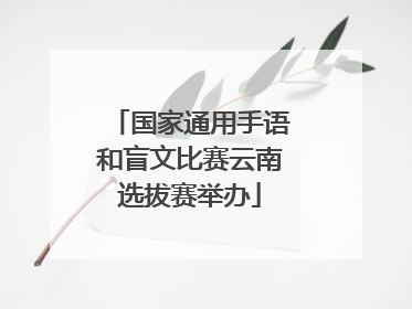 国家通用手语和盲文比赛云南选拔赛举办