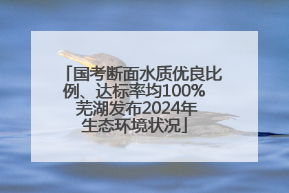 国考断面水质优良比例、达标率均100% 芜湖发布2024年生态环境状况