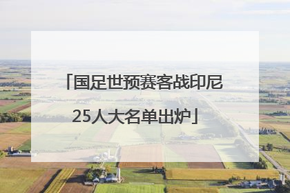国足世预赛客战印尼25人大名单出炉