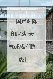 国足对阵印尼队 天气或成拦路虎