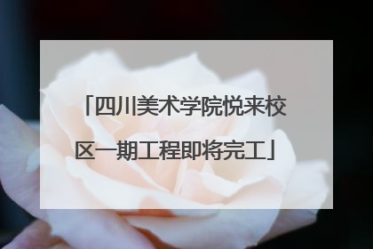 四川美术学院悦来校区一期工程即将完工