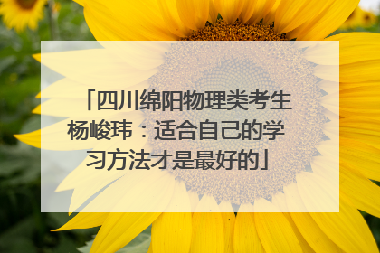 四川绵阳物理类考生杨峻玮：适合自己的学习方法才是最好的