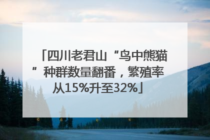 四川老君山“鸟中熊猫”种群数量翻番，繁殖率从15%升至32%