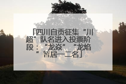 四川自贡征集“川超”队名进入投票阶段：“龙焱”“龙焰”暂居一二名