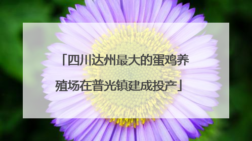 四川达州最大的蛋鸡养殖场在普光镇建成投产