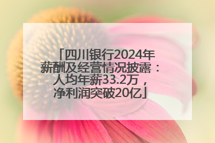 四川银行2024年薪酬及经营情况披露：人均年薪33.2万，净利润突破20亿