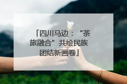 四川马边：“茶旅融合”共绘民族团结新画卷