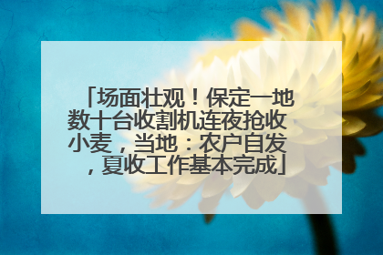 场面壮观！保定一地数十台收割机连夜抢收小麦，当地：农户自发，夏收工作基本完成