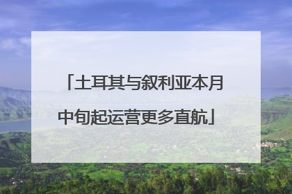 土耳其与叙利亚本月中旬起运营更多直航
