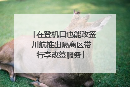 在登机口也能改签 川航推出隔离区带行李改签服务