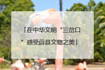 在中华文明“三岔口”感受蔚县文物之美