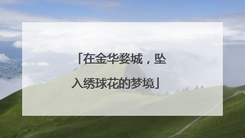 在金华婺城，坠入绣球花的梦境