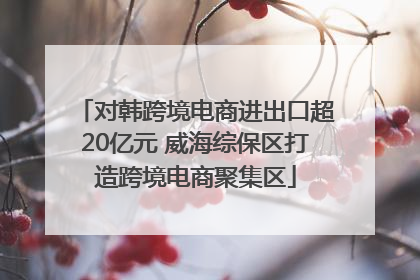 对韩跨境电商进出口超20亿元 威海综保区打造跨境电商聚集区