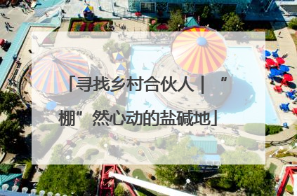 寻找乡村合伙人｜“棚”然心动的盐碱地