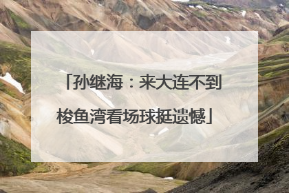 孙继海：来大连不到梭鱼湾看场球挺遗憾