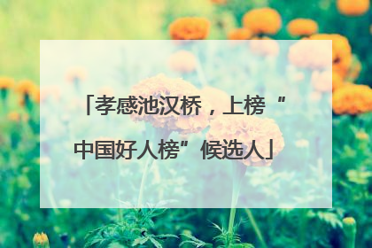 孝感池汉桥，上榜“中国好人榜”候选人
