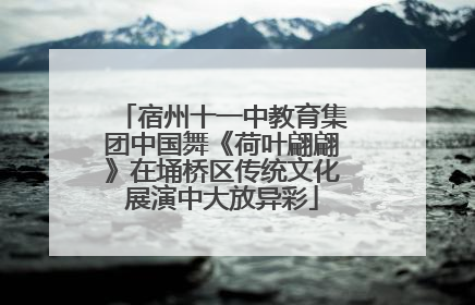 宿州十一中教育集团中国舞《荷叶翩翩》在埇桥区传统文化展演中大放异彩
