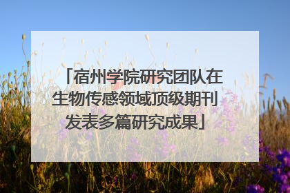 宿州学院研究团队在生物传感领域顶级期刊发表多篇研究成果
