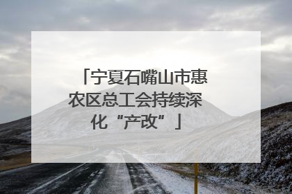 宁夏石嘴山市惠农区总工会持续深化“产改”