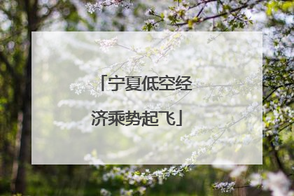 宁夏低空经济乘势起飞
