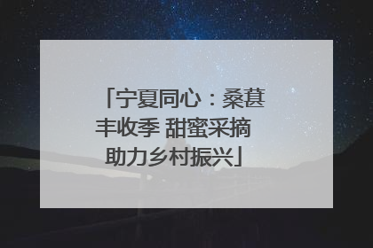宁夏同心：桑葚丰收季 甜蜜采摘助力乡村振兴