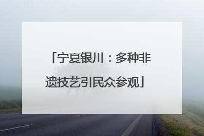 宁夏银川：多种非遗技艺引民众参观