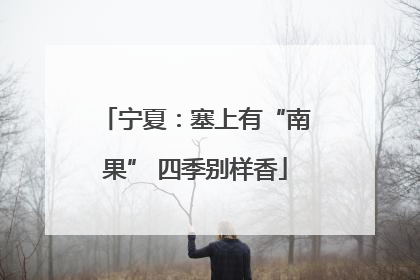 宁夏：塞上有“南果” 四季别样香