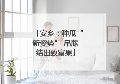 安乡：种瓜“新姿势” 吊藤结出致富果