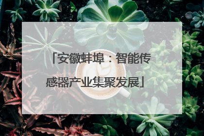 安徽蚌埠：智能传感器产业集聚发展