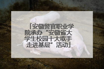 安徽警官职业学院承办“安徽省大学生校园十大歌手走进基层”活动