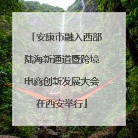 安康市融入西部陆海新通道暨跨境电商创新发展大会在西安举行