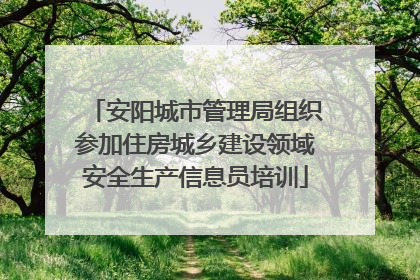 安阳城市管理局组织参加住房城乡建设领域安全生产信息员培训