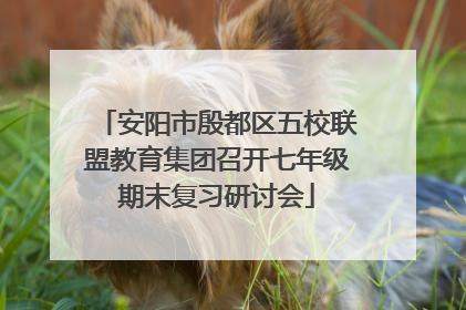 安阳市殷都区五校联盟教育集团召开七年级期末复习研讨会