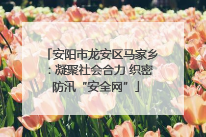 安阳市龙安区马家乡：凝聚社会合力 织密防汛“安全网”