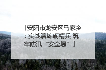 安阳市龙安区马家乡：实战演练砺精兵 筑牢防汛“安全堤”