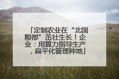 定制农业在“北国粮都”茁壮生长！企业：用算力指导生产，扁平化管理种地