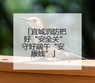 宜城消防把好“安全关”守好端午“安康线”