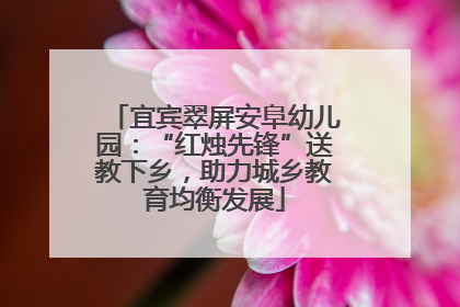 宜宾翠屏安阜幼儿园：“红烛先锋”送教下乡，助力城乡教育均衡发展
