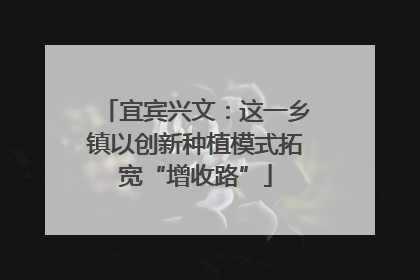 宜宾兴文：这一乡镇以创新种植模式拓宽“增收路”