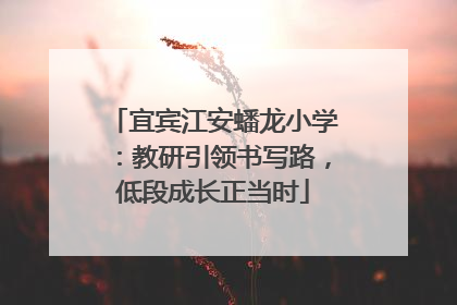 宜宾江安蟠龙小学：教研引领书写路，低段成长正当时