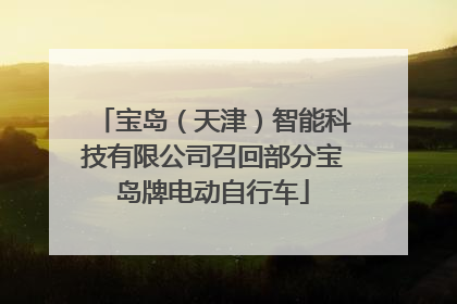 宝岛（天津）智能科技有限公司召回部分宝岛牌电动自行车