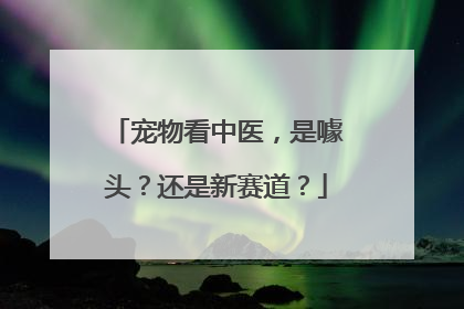 宠物看中医，是噱头？还是新赛道？