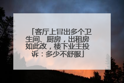 客厅上冒出多个卫生间、厨房，出租房如此改，楼下业主投诉：多少不舒服
