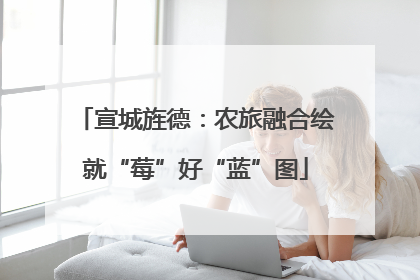 宣城旌德：农旅融合绘就“莓”好“蓝”图