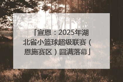 宣恩：2025年湖北省小篮球超级联赛（恩施赛区）圆满落幕